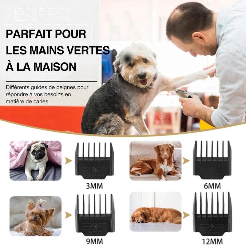 Professional Pet Grooming Set by Bowlift