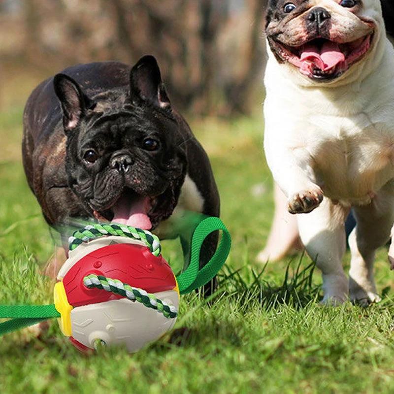 Dog toy balls UFO Magic Ball by Bowlift