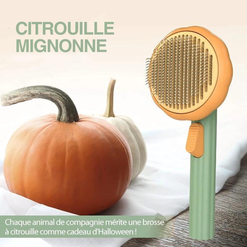 Pumpkin Comb Brush for Pets by Bowlift