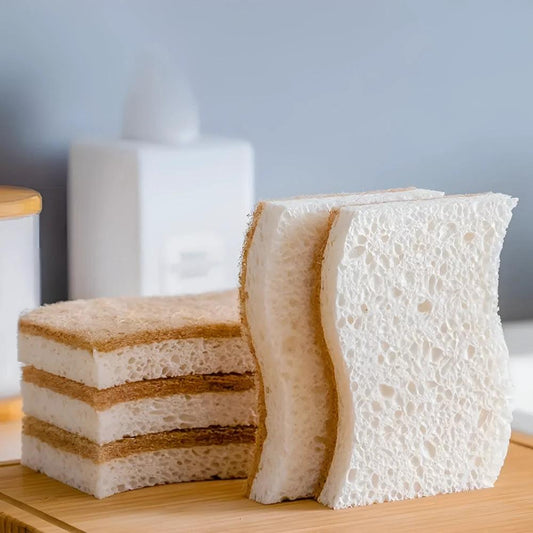 Coconut Fiber Natural Dish Sponge by Casa & Beyond