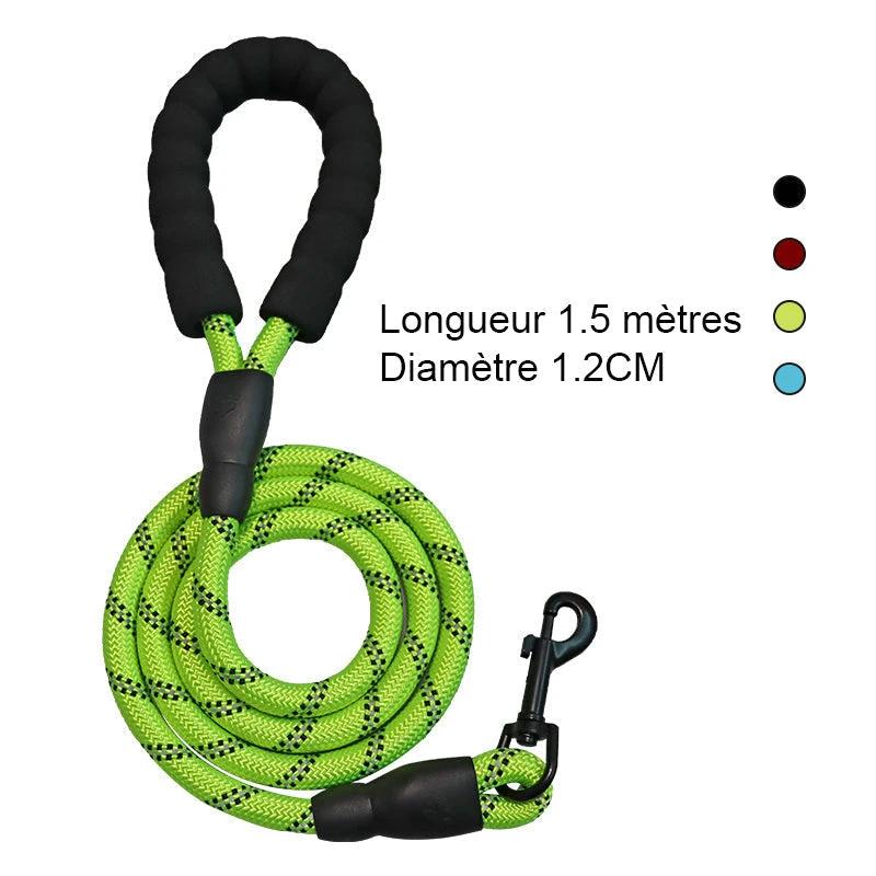 3-in-1 Pet Walking Kit by Bowlift