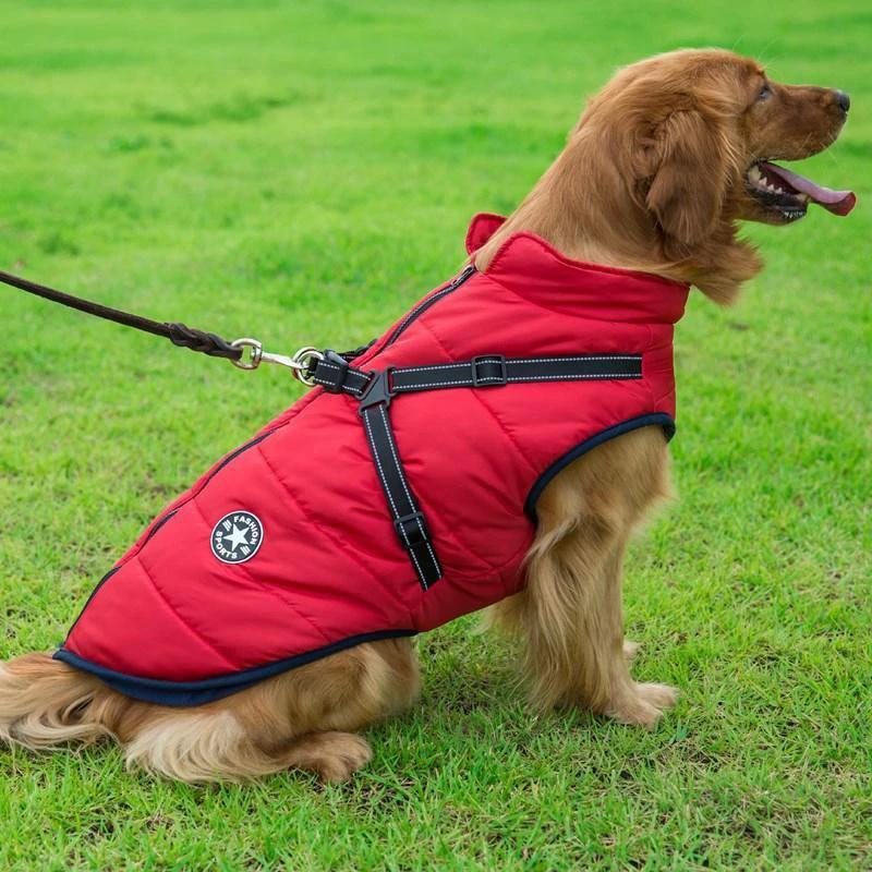 Winter coat with zipper for dogs by Bowlift