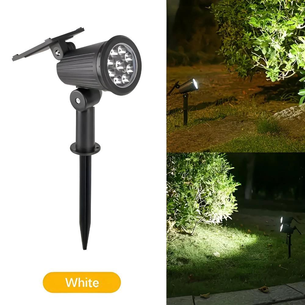 Power Glow Solar Light by Casa & Beyond