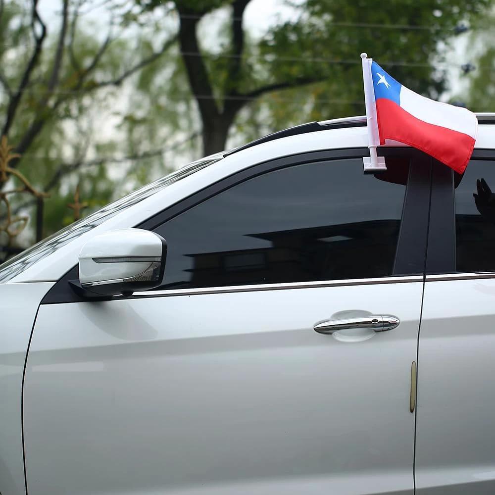 Texas State Flag Car Window Flag of Texas 11X18 Inch(28x46cm) 100% Polyester, Strong White Flagpole by flagsshop