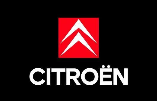 Citroen Flag-3x5ft Banner-2 Metal Grommets-Black-White with car logo by flagsshop