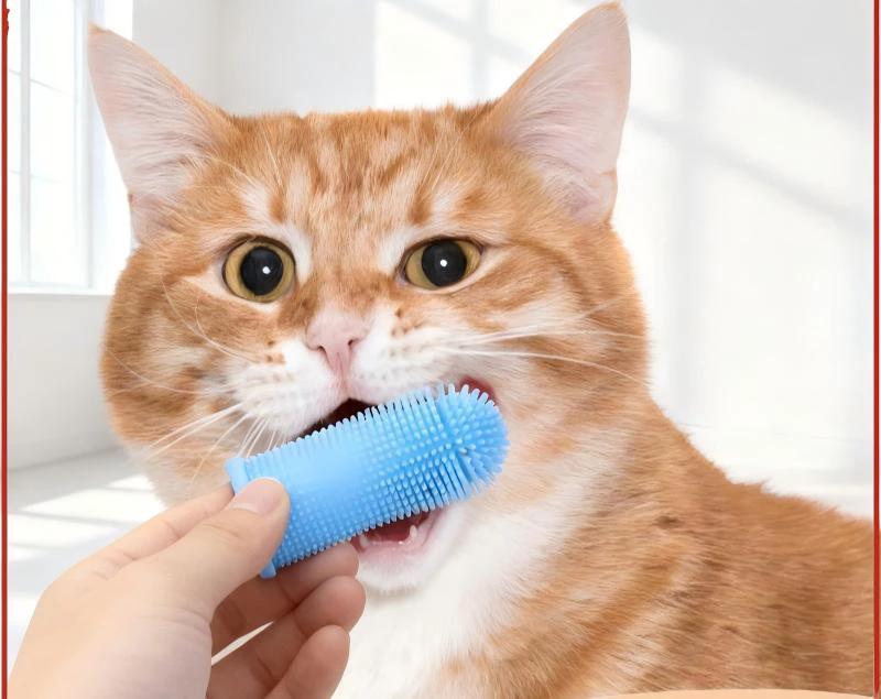 Dog Cat Dental Finger Brushes by BowLift