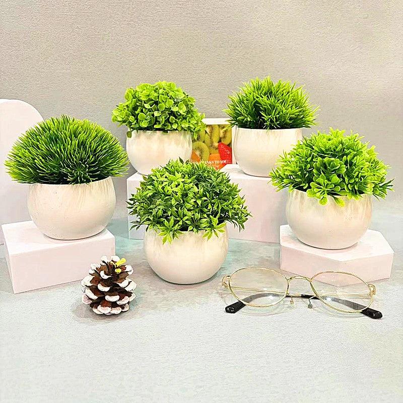 Mini Half - Sphere Artificial Potted Plant by BowLift
