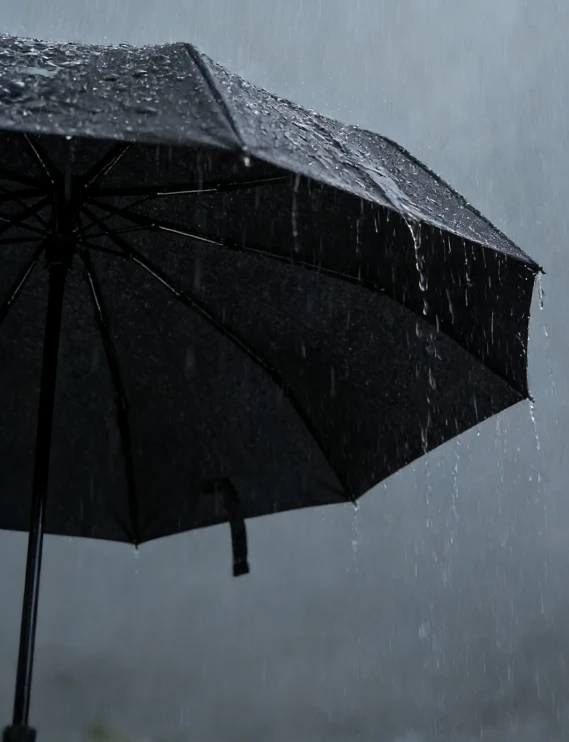 Fully Automatic Double-Layer Business Folding Umbrella by BowLift