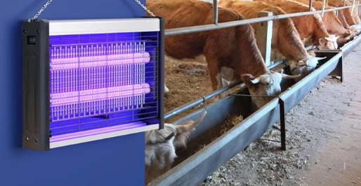 Commercial High-Power LED Flytrap by BowLift