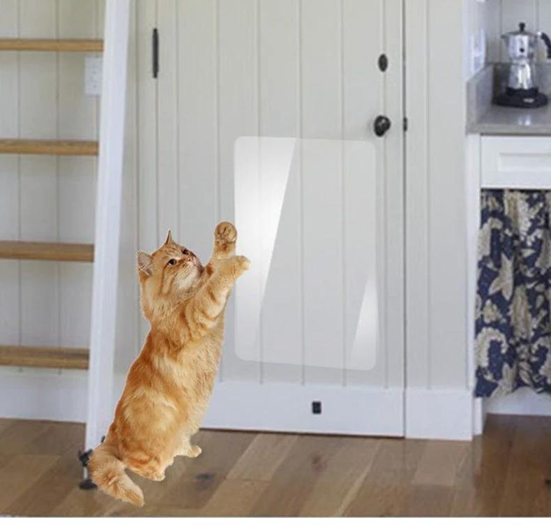 Sofa Anti-Cat Scratch Protective Film (10 Pieces) | Invisible, Transparent, Wear-Resistant, Durable, Furniture Protection, Cat and Dog Scratch and Bite Repellent by BowLift