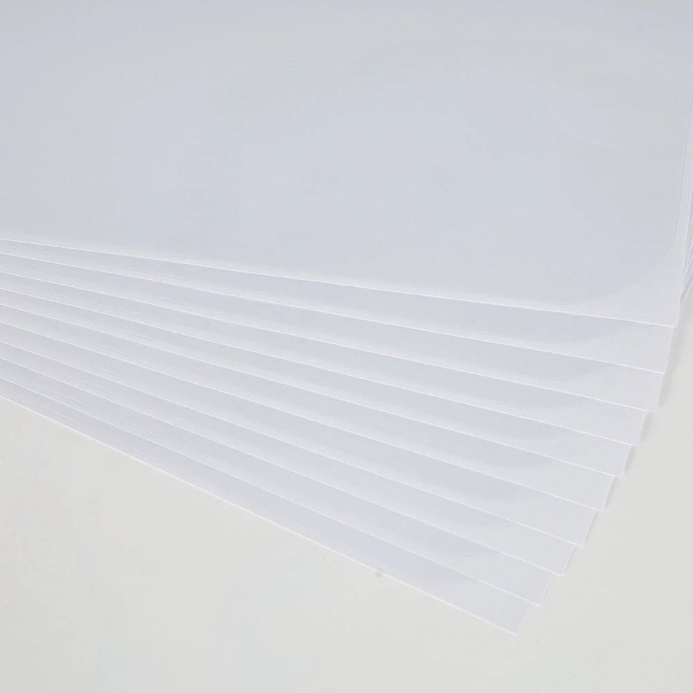 Sofa Anti-Cat Scratch Protective Film (10 Pieces) | Invisible, Transparent, Wear-Resistant, Durable, Furniture Protection, Cat and Dog Scratch and Bite Repellent by BowLift