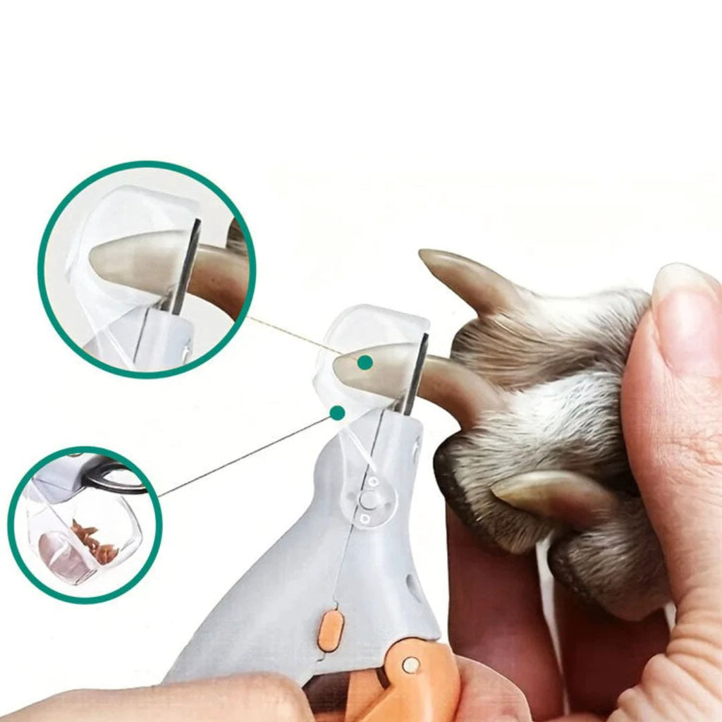 PawSure | Pet Nail Clipper - Quick Sensor - LED Light - Safety Guard - Stainless Steel Blades - Safe, Easy and Precise Nail Trimming Bowlift by Bowlift