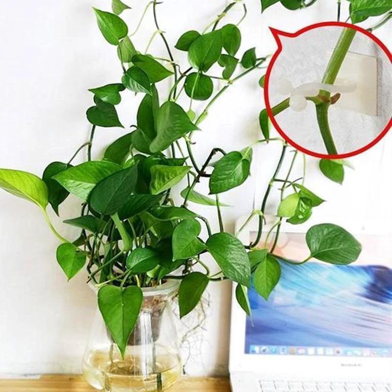 Wall clips for climbing plants (30 pieces) by Bowlift