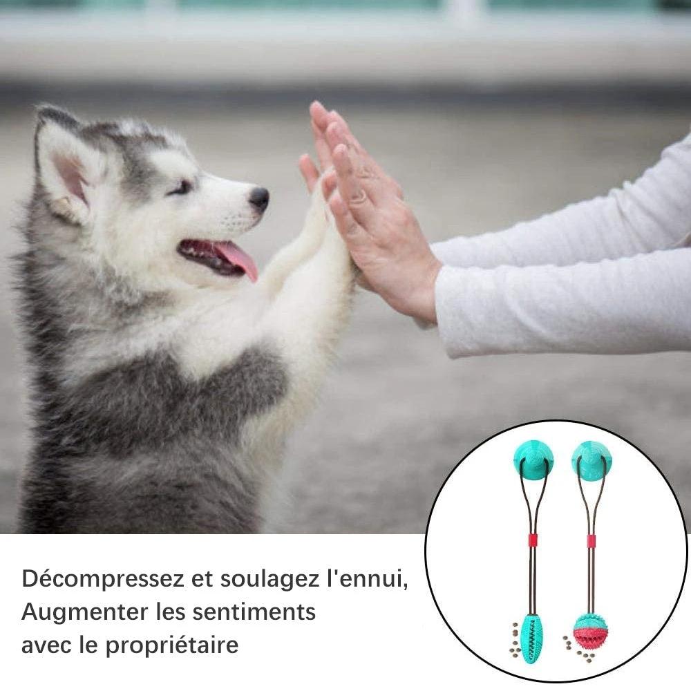 Dog suction cup toy by Bowlift