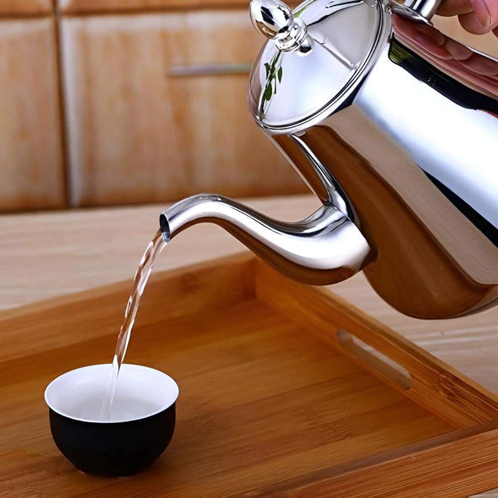 Stainless Steel Kettle with Built-in Filter by Casa & Beyond