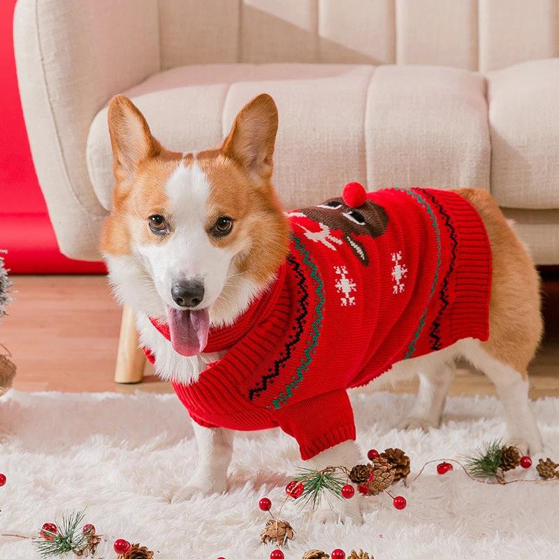 Warm Christmas clothing for pets by Bowlift