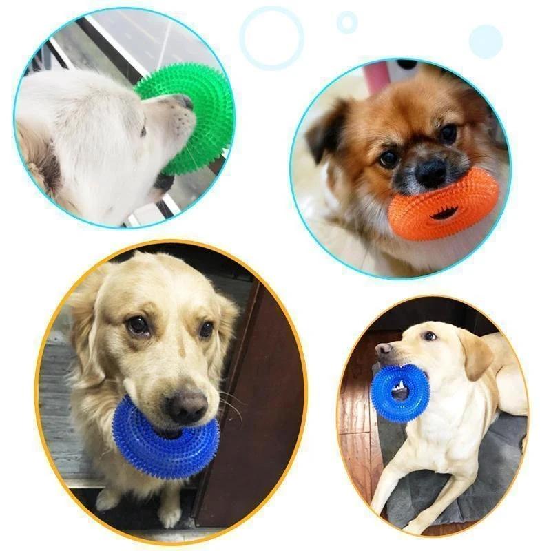 Vocal Ball Dog Chew Toy by Bowlift