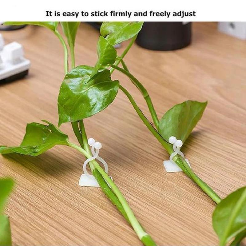 Wall clips for climbing plants (30 pieces) by Bowlift