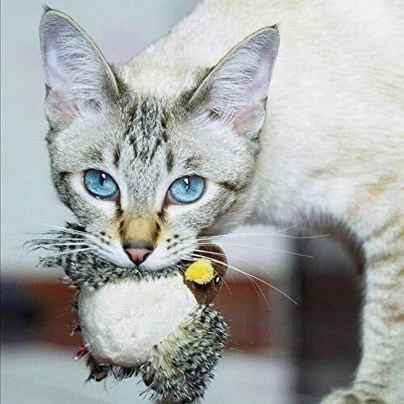 Cat toy - Simulated chirping bird Bowlift by Bowlift