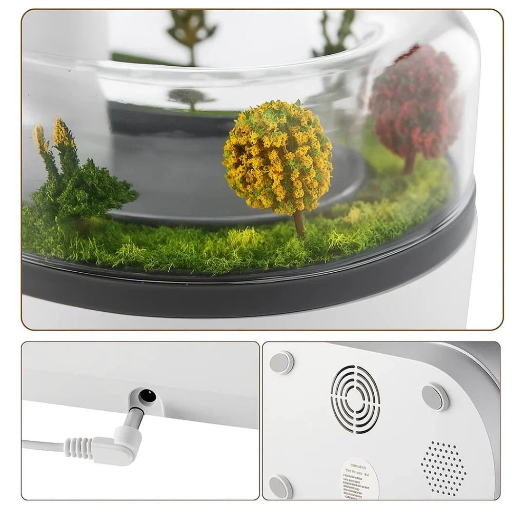 Dry-Air Relief – Quiet LED Night Light – Soothe Skin & Breathing – Calm Relaxing Sleep for Home & Bedroom Bowlift by Bowlift