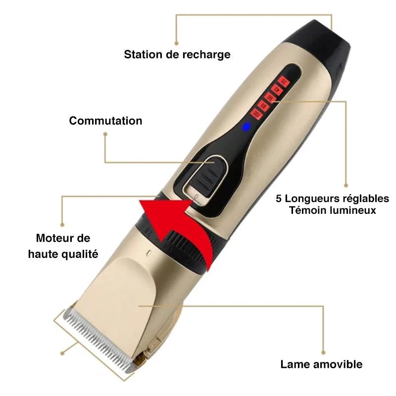 Professional Pet Grooming Set by Bowlift