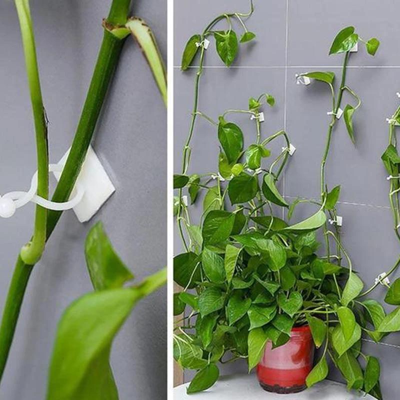 Wall clips for climbing plants (30 pieces) by Bowlift