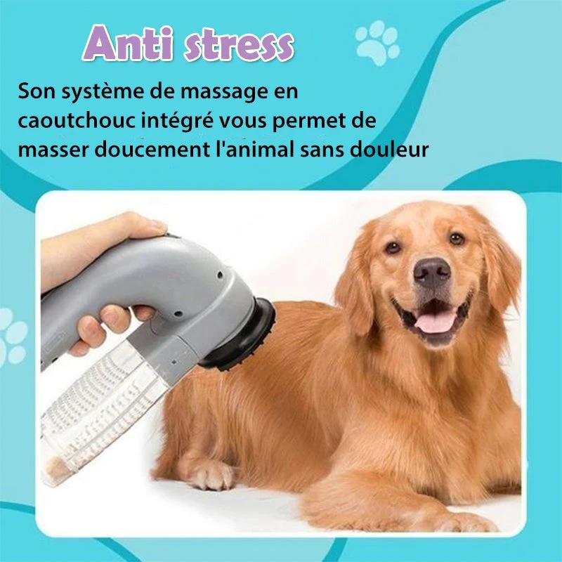 Tier hair vacuum by Bowlift