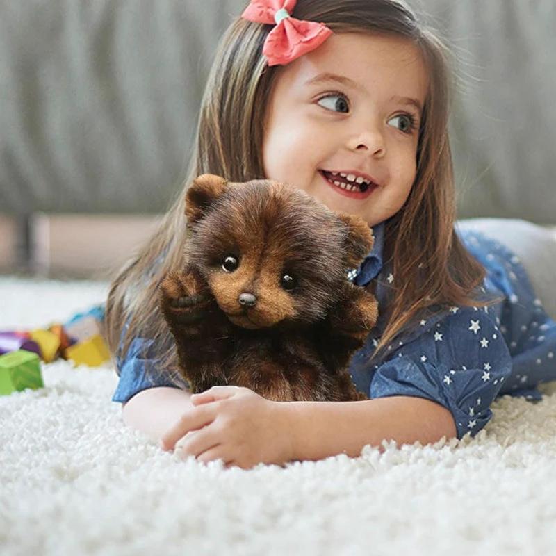 Teddy bears by Bowlift