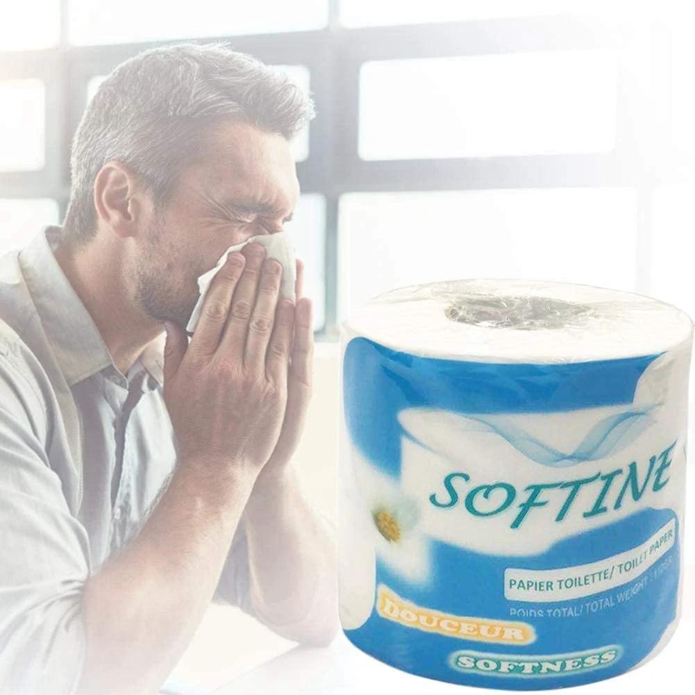Toilet Paper-10 rolls Silky & Smooth Soft 3-Ply Srong Highly Absorbent -950g/10 rolls by flagsshop