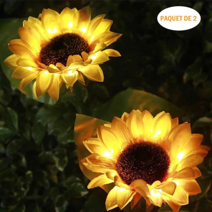 Solar Sunflower Light, 2 Pieces by Bowlift