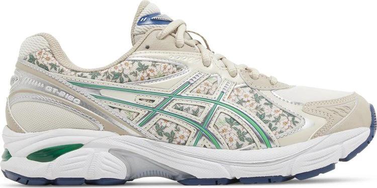 Asics GT 2160 Winter Garden Pack 1202A439-250 by Air Jordan