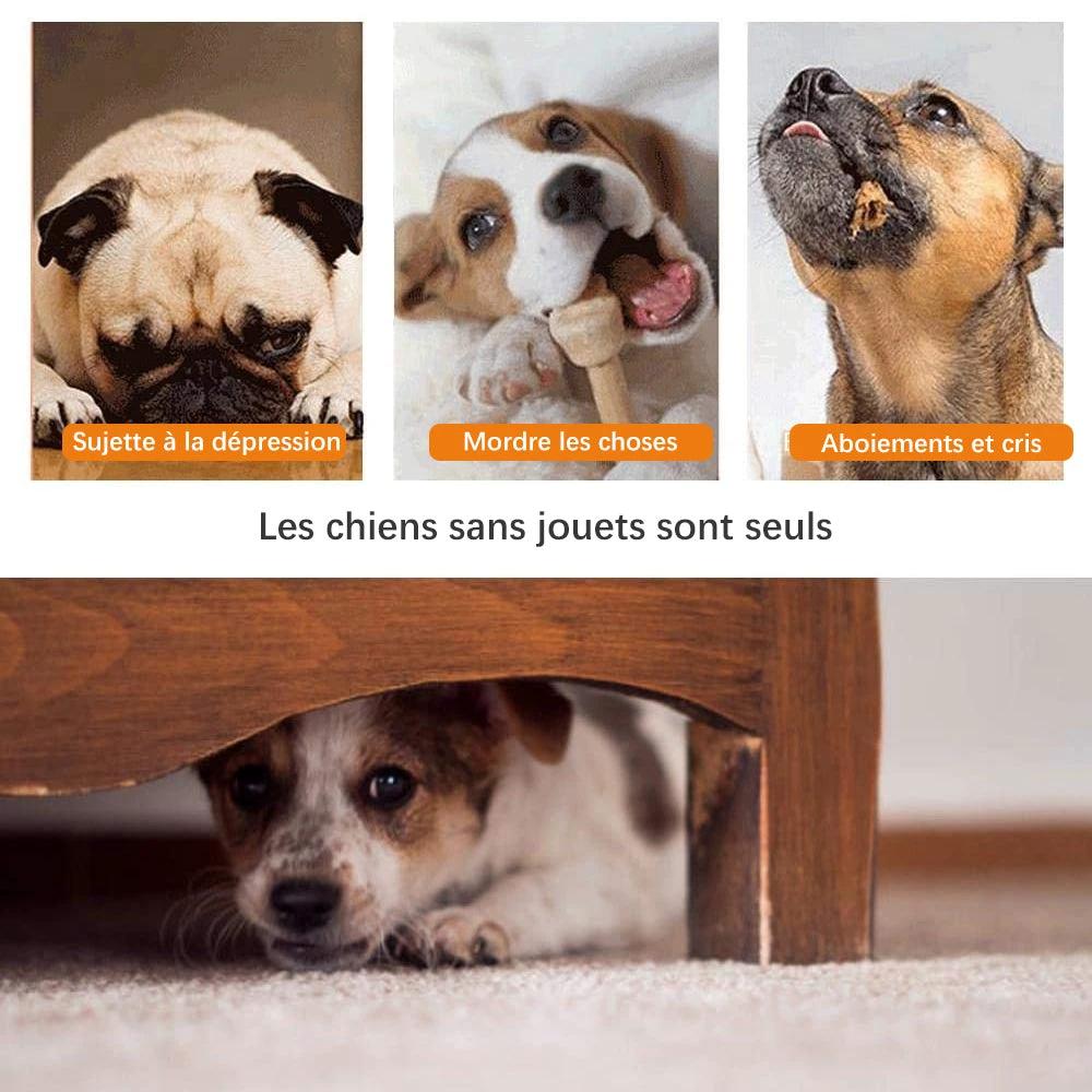 Dog suction cup toy by Bowlift