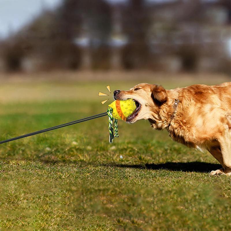 Outdoor toy rope ball for pets by Bowlift