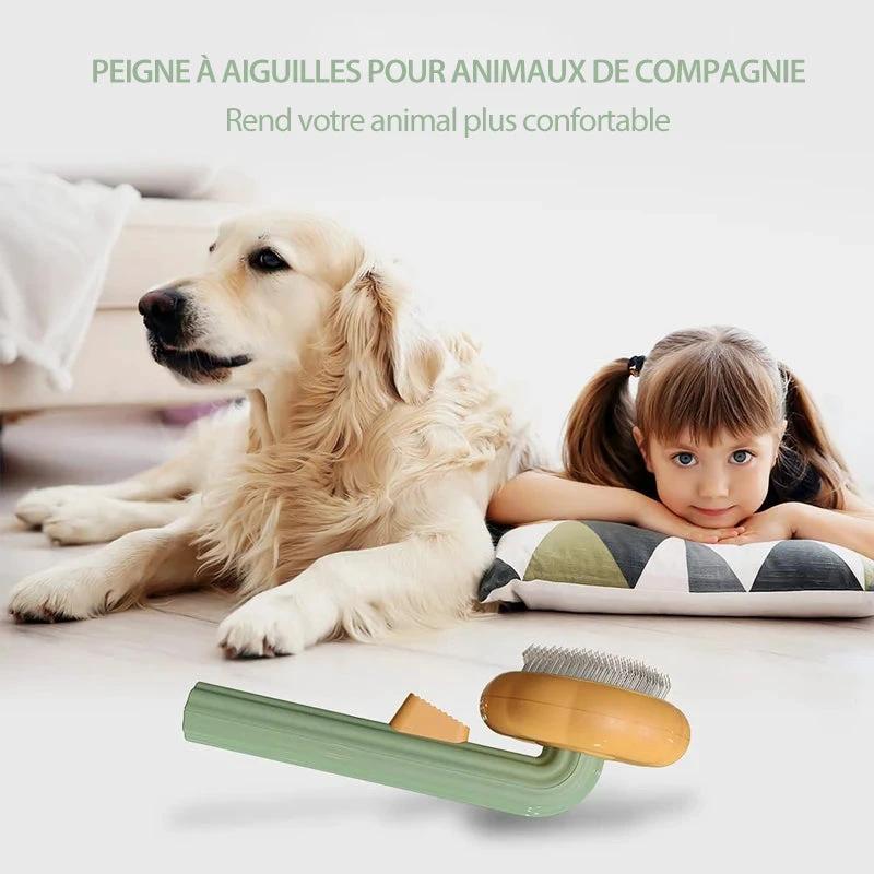 Pumpkin Comb Brush for Pets by Bowlift