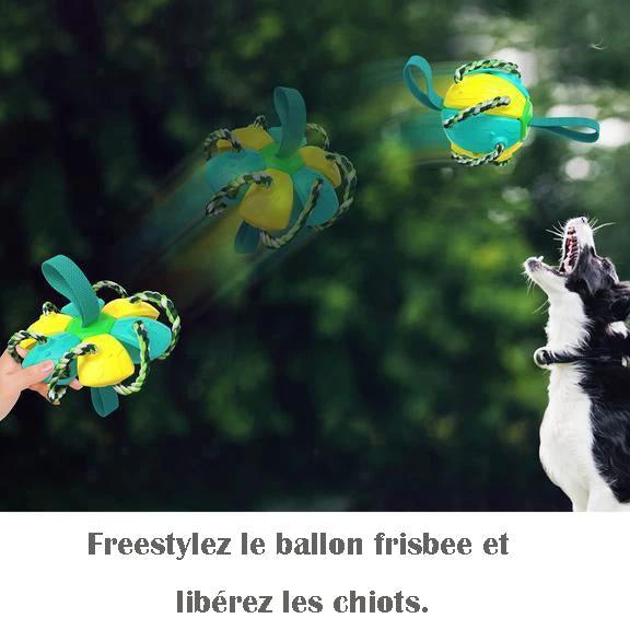Dog toy balls UFO Magic Ball by Bowlift