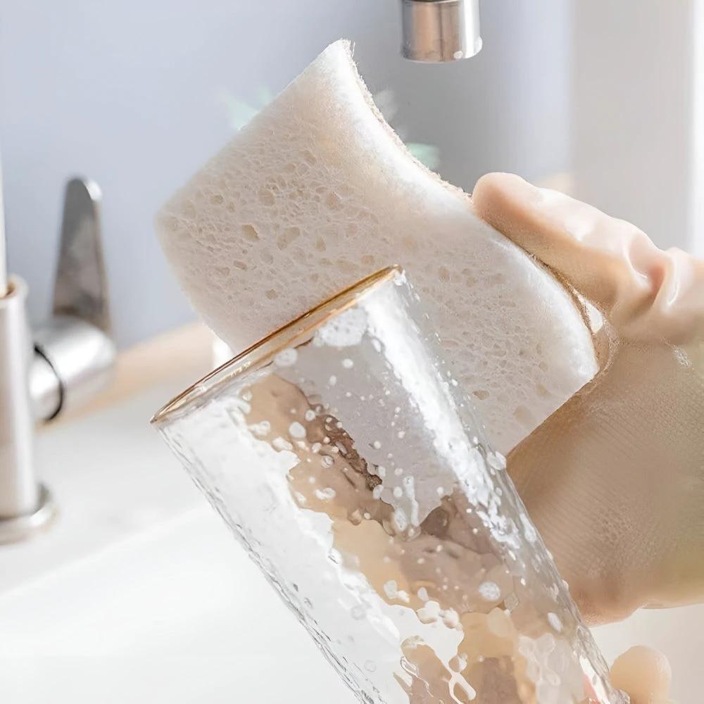 Coconut Fiber Natural Dish Sponge by Casa & Beyond