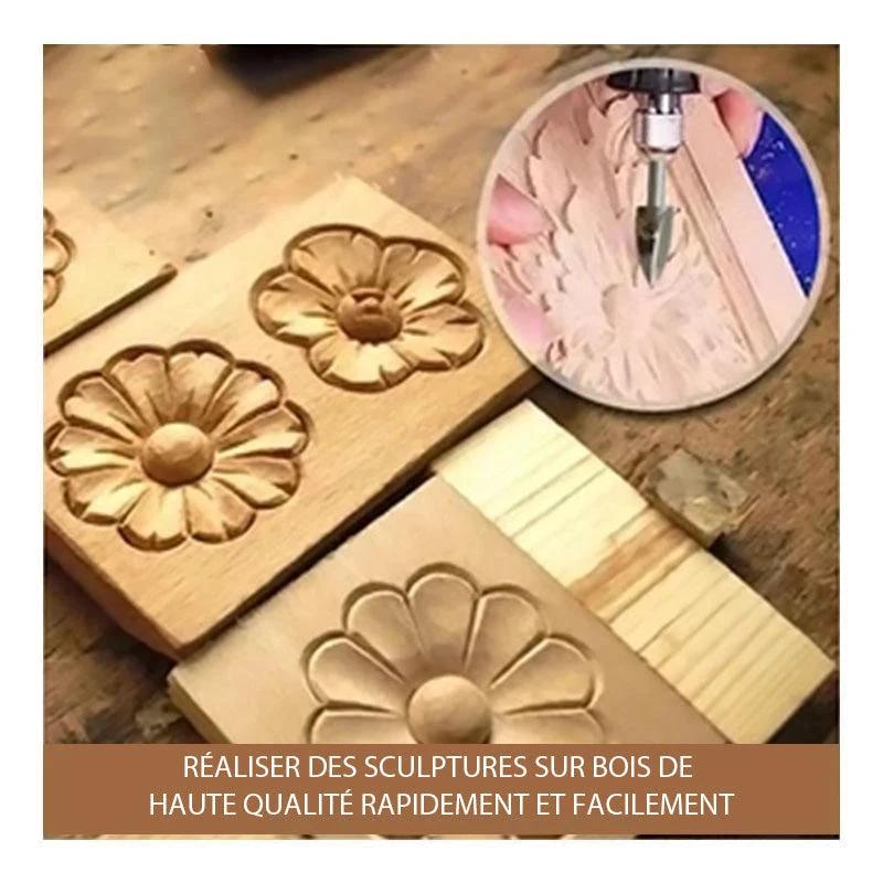 Drill set for wood sculptures by Bowlift
