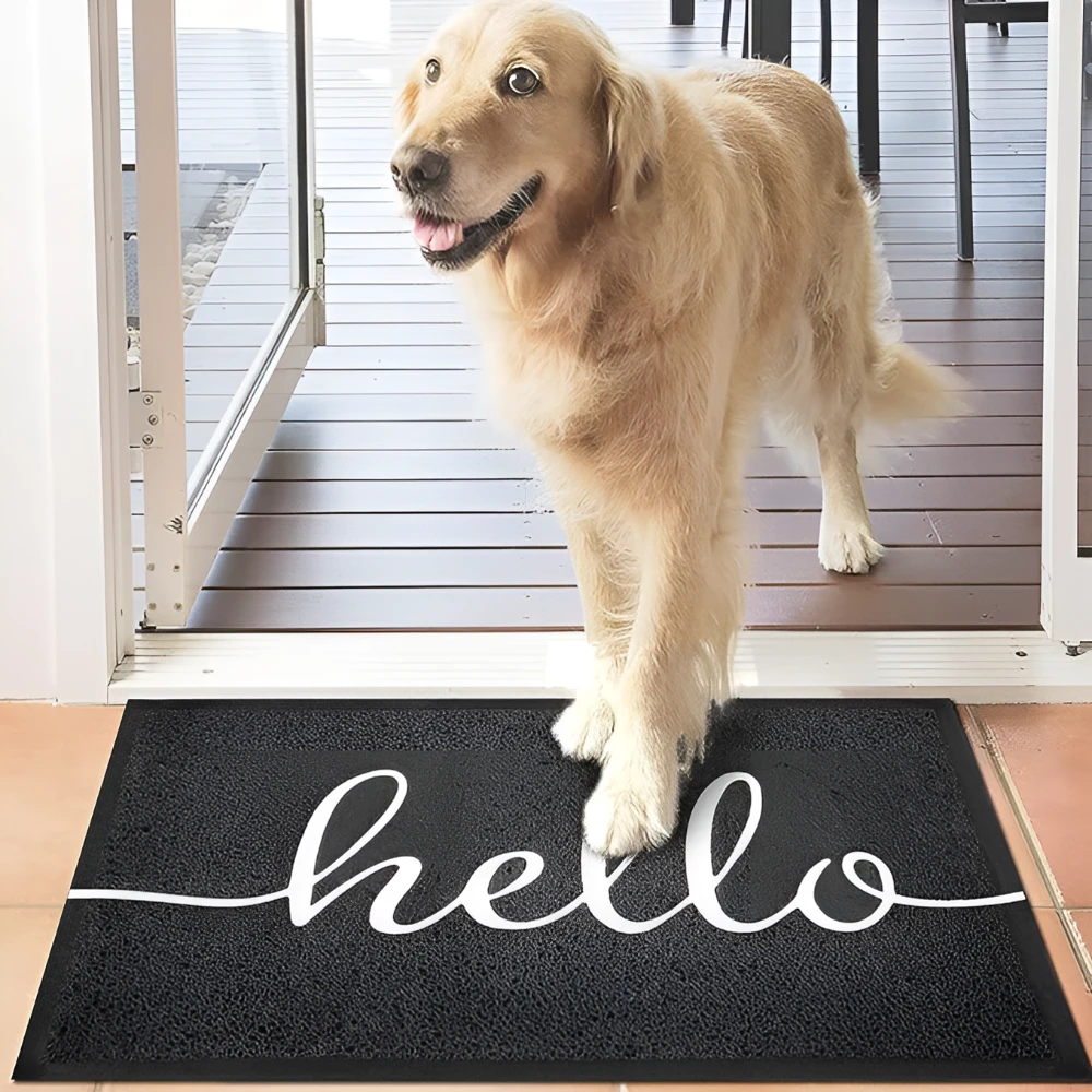 Hello Luxe Doormat by Casa & Beyond