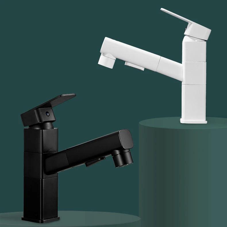 Bathroom Vessel Faucet Swivel Spout Single Handle Faucet with Pull-Out Spray Head by BowLift