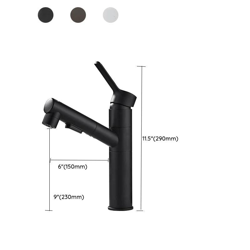 Bathroom Vessel Faucet Swivel Spout Single Handle Faucet with Pull-Out Spray Head by BowLift