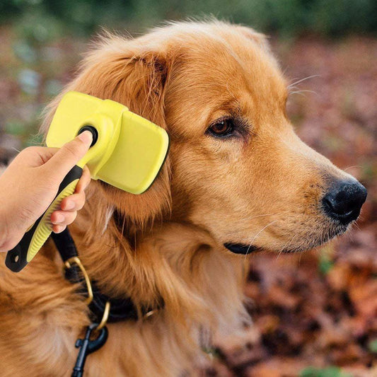 Ciaovie Brush for Pet Cleaning by Bowlift