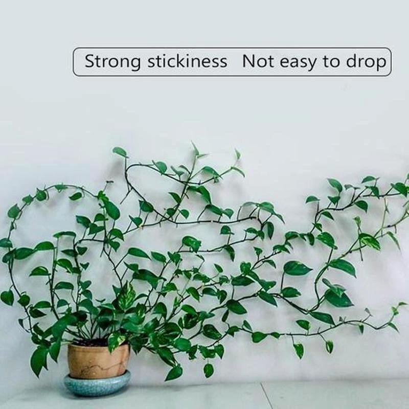 Wall clips for climbing plants (30 pieces) by Bowlift