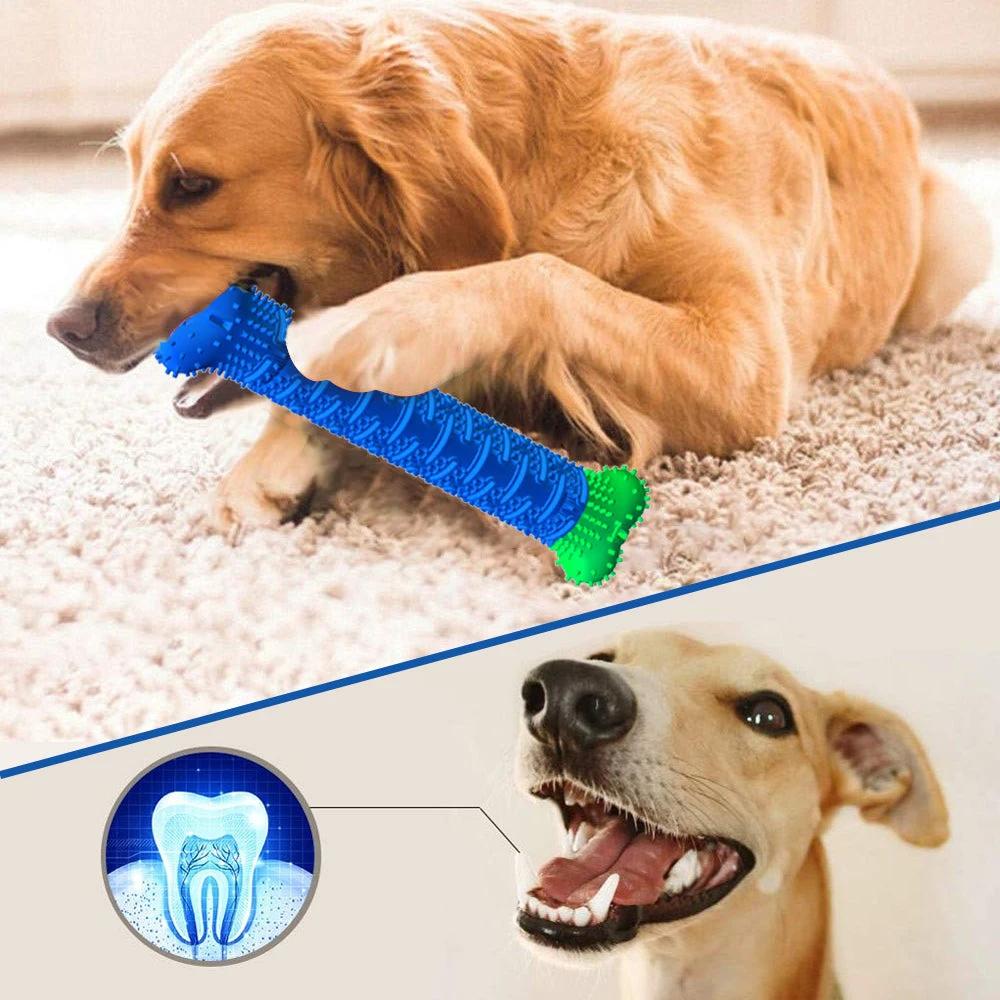 Ciaovie Tier toothbrush by Bowlift