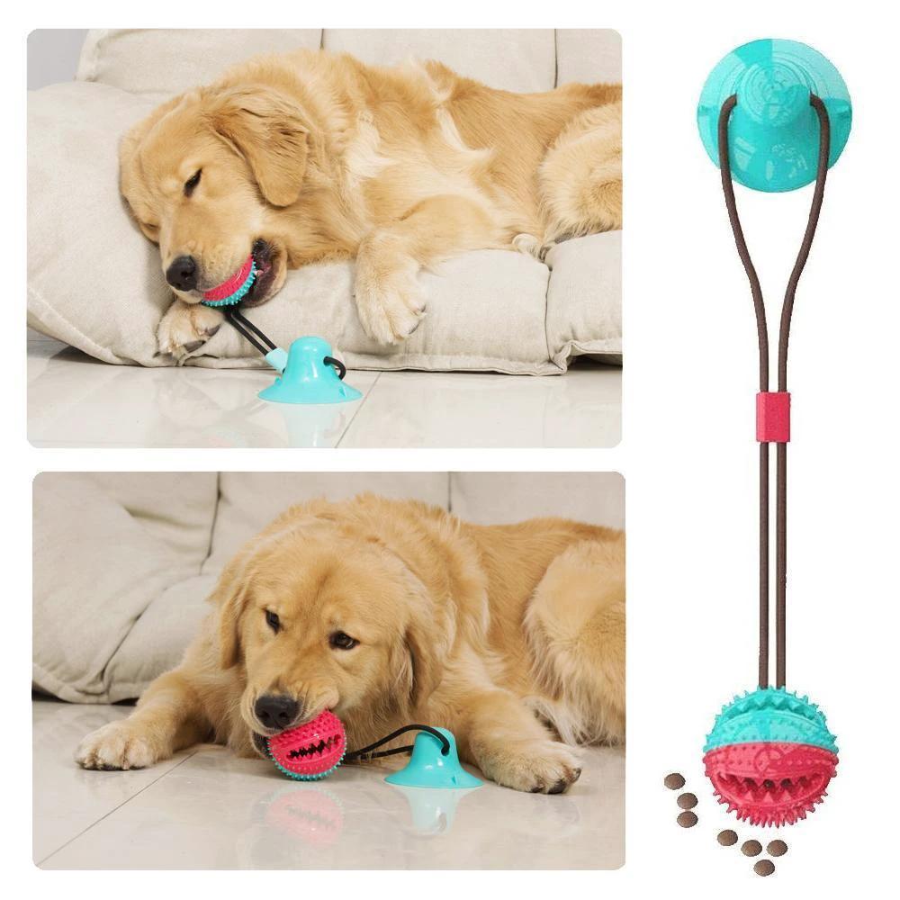 Dog suction cup toy by Bowlift