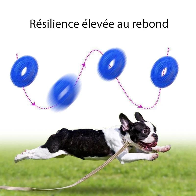 Vocal Ball Dog Chew Toy by Bowlift