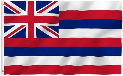 Hawaii State Flag-3x5 FT Flag of Hawaii Banner-100% polyester-2 Metal Grommets by flagsshop