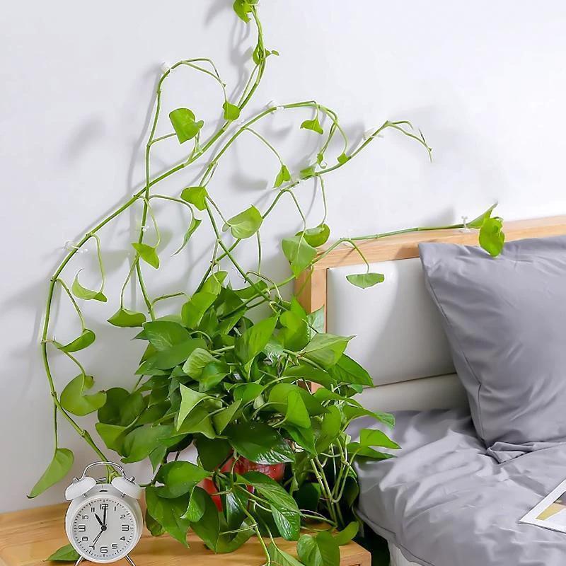 Wall clips for climbing plants (30 pieces) by Bowlift