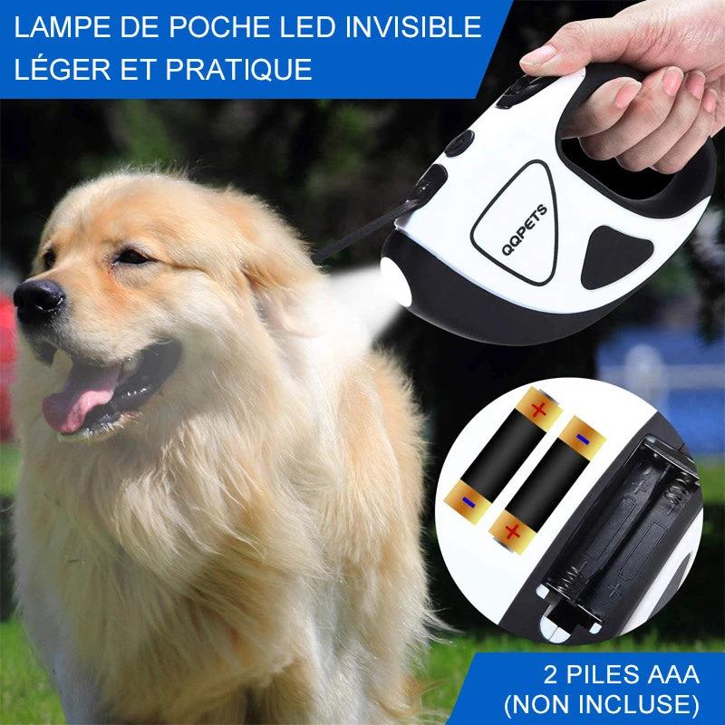 LED Leash for Pets retractable by Bowlift