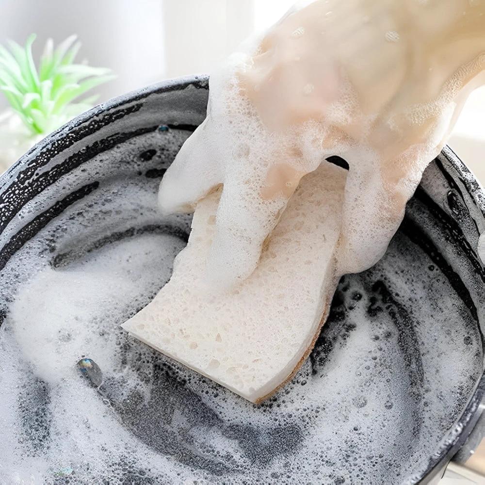 Coconut Fiber Natural Dish Sponge by Casa & Beyond