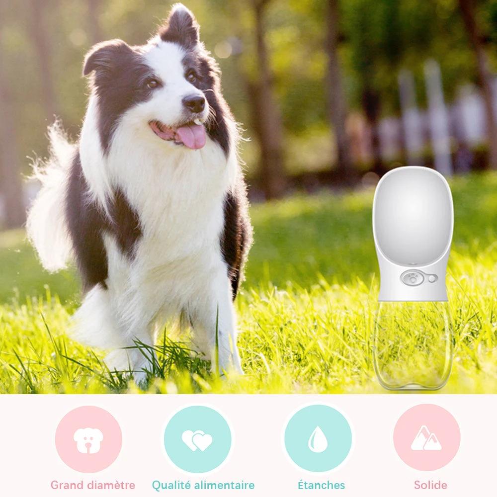 Portable water bottle for pets outdoors by Bowlift